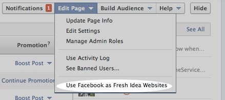 Use-Facebook-As-your-business